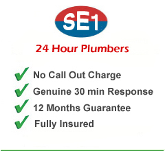 Plumber SE1